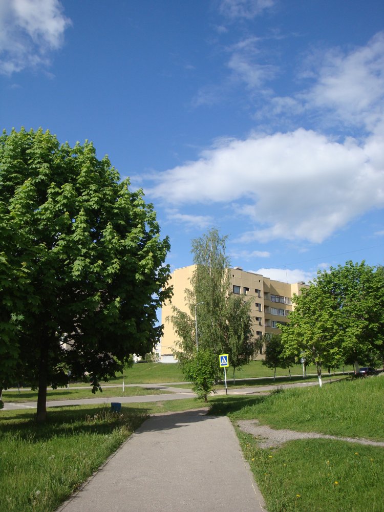 DSC09715.JPG
