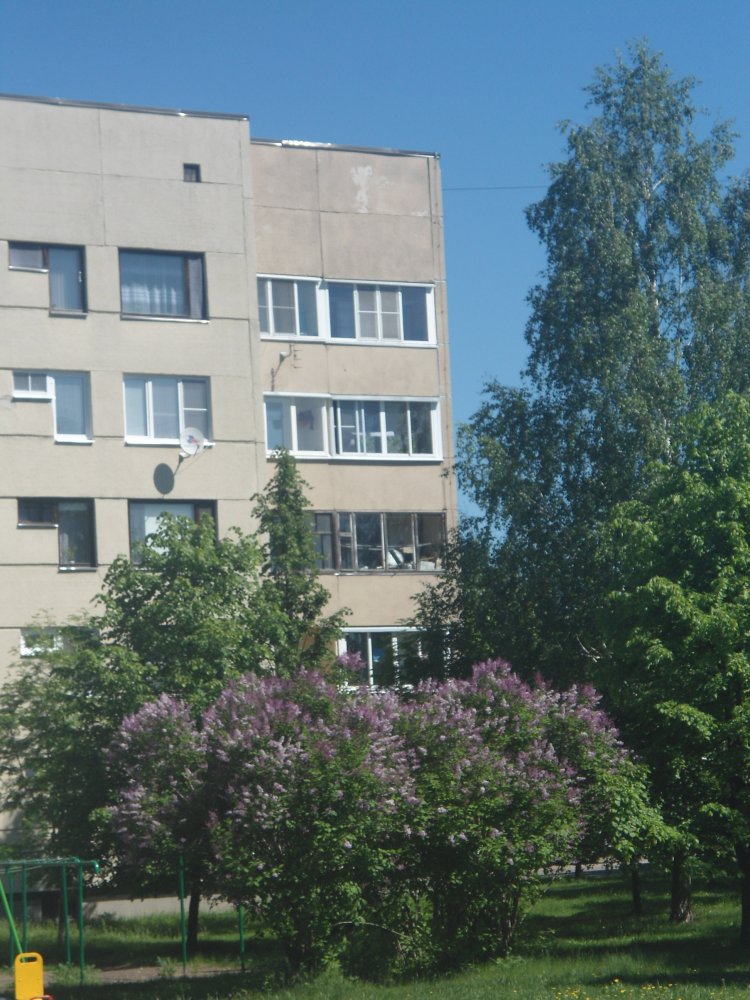 DSC09737.JPG