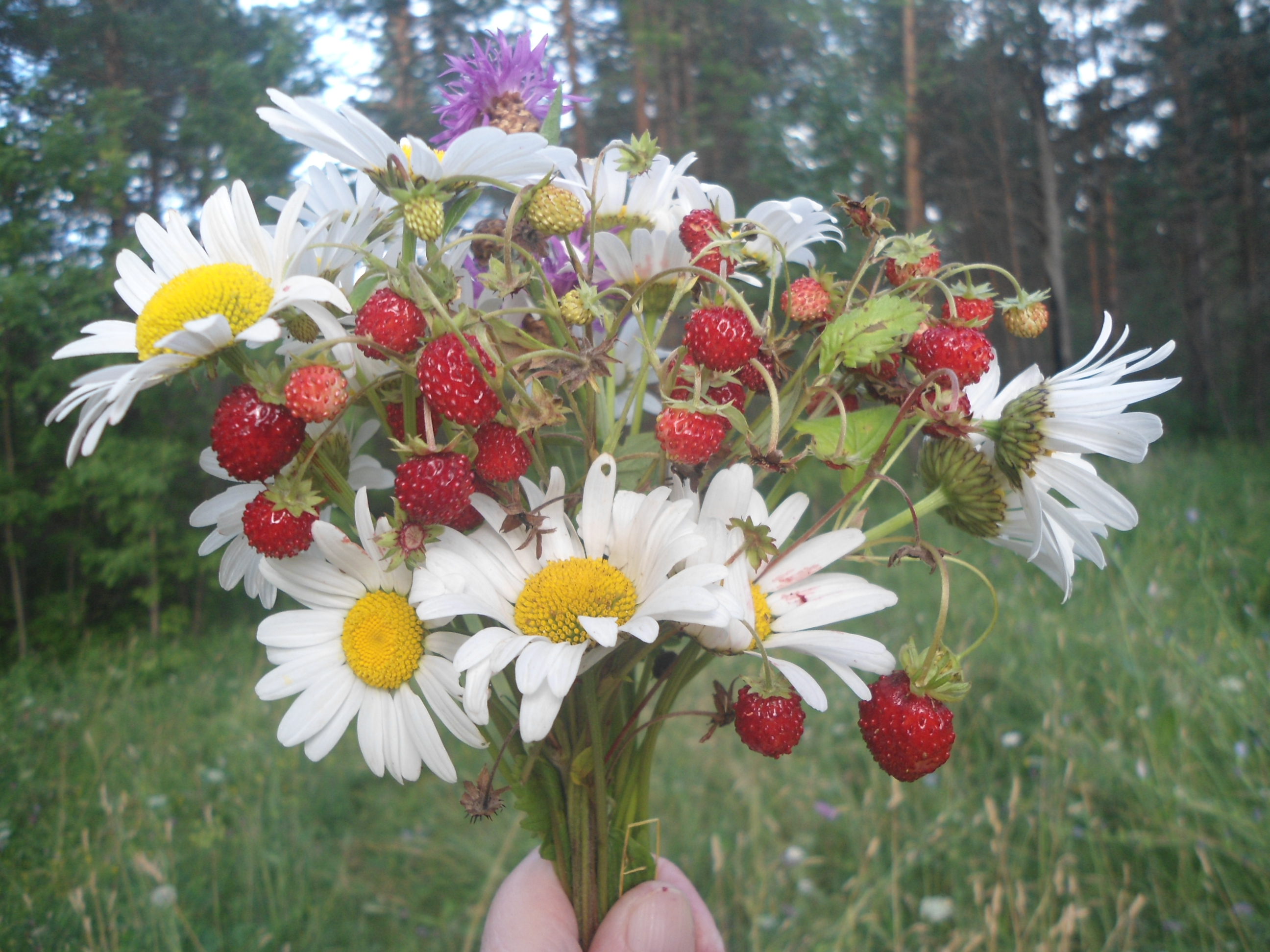 DSC09775.JPG