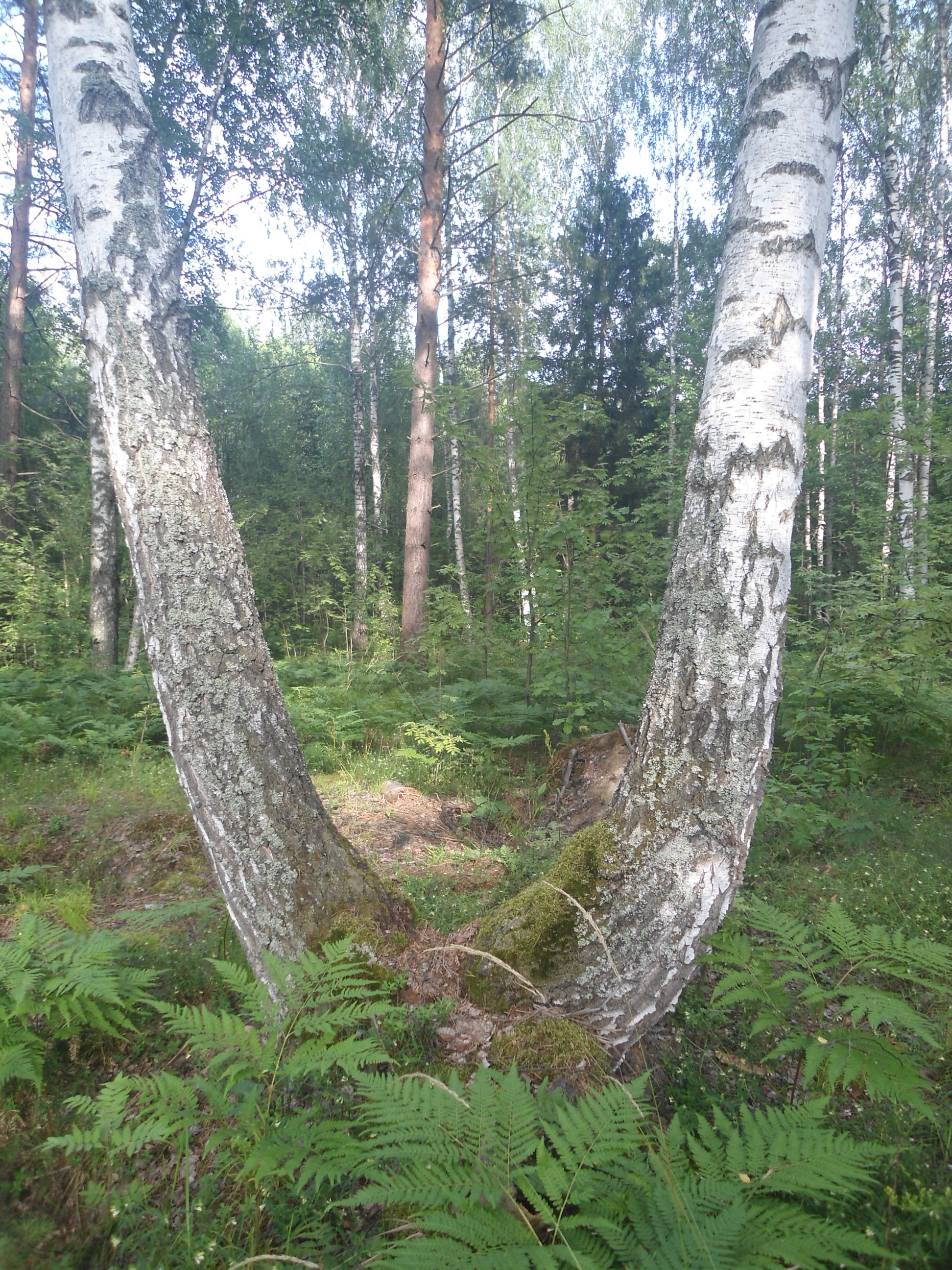 DSC09782.JPG