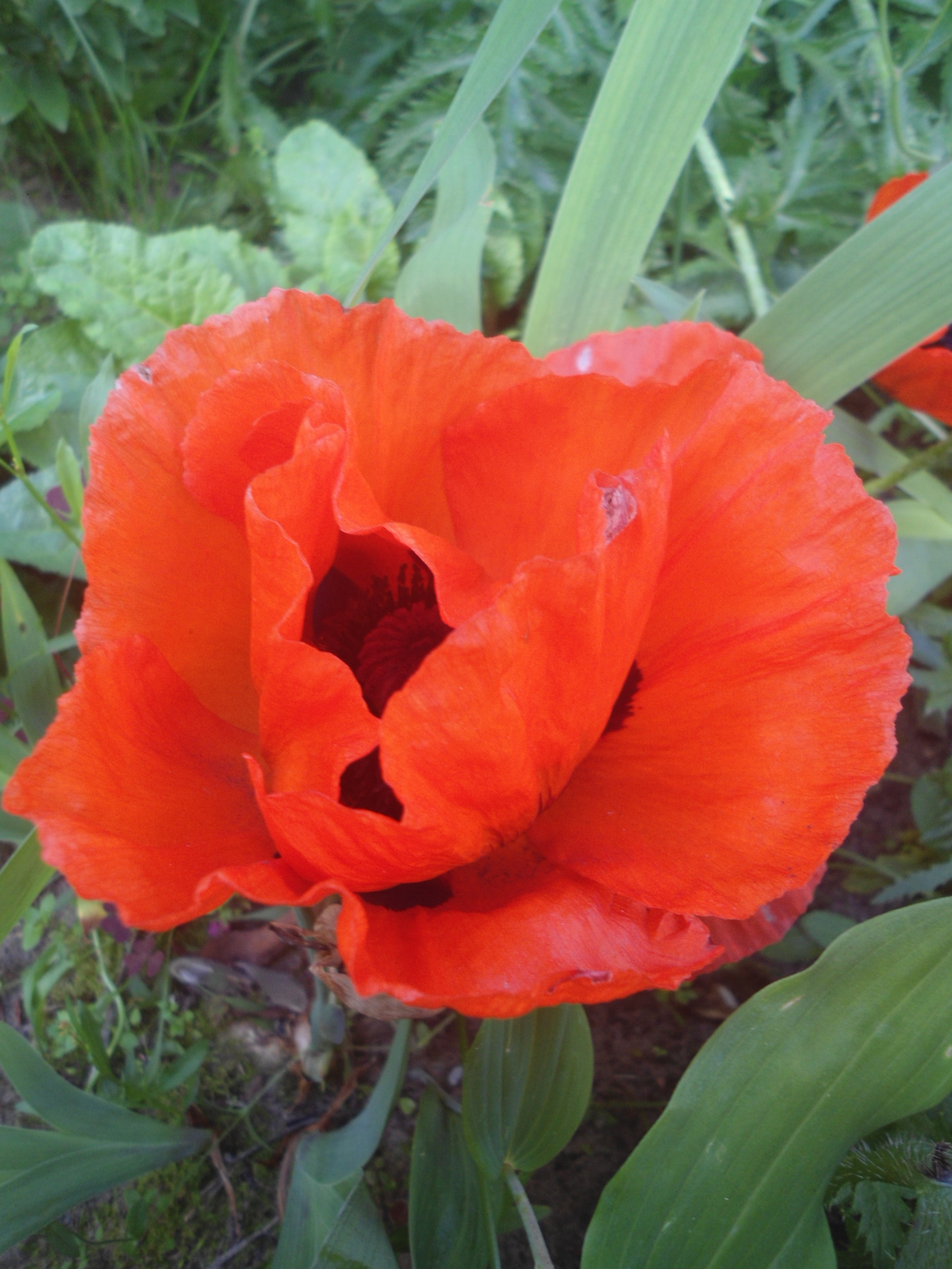 DSC09827.JPG