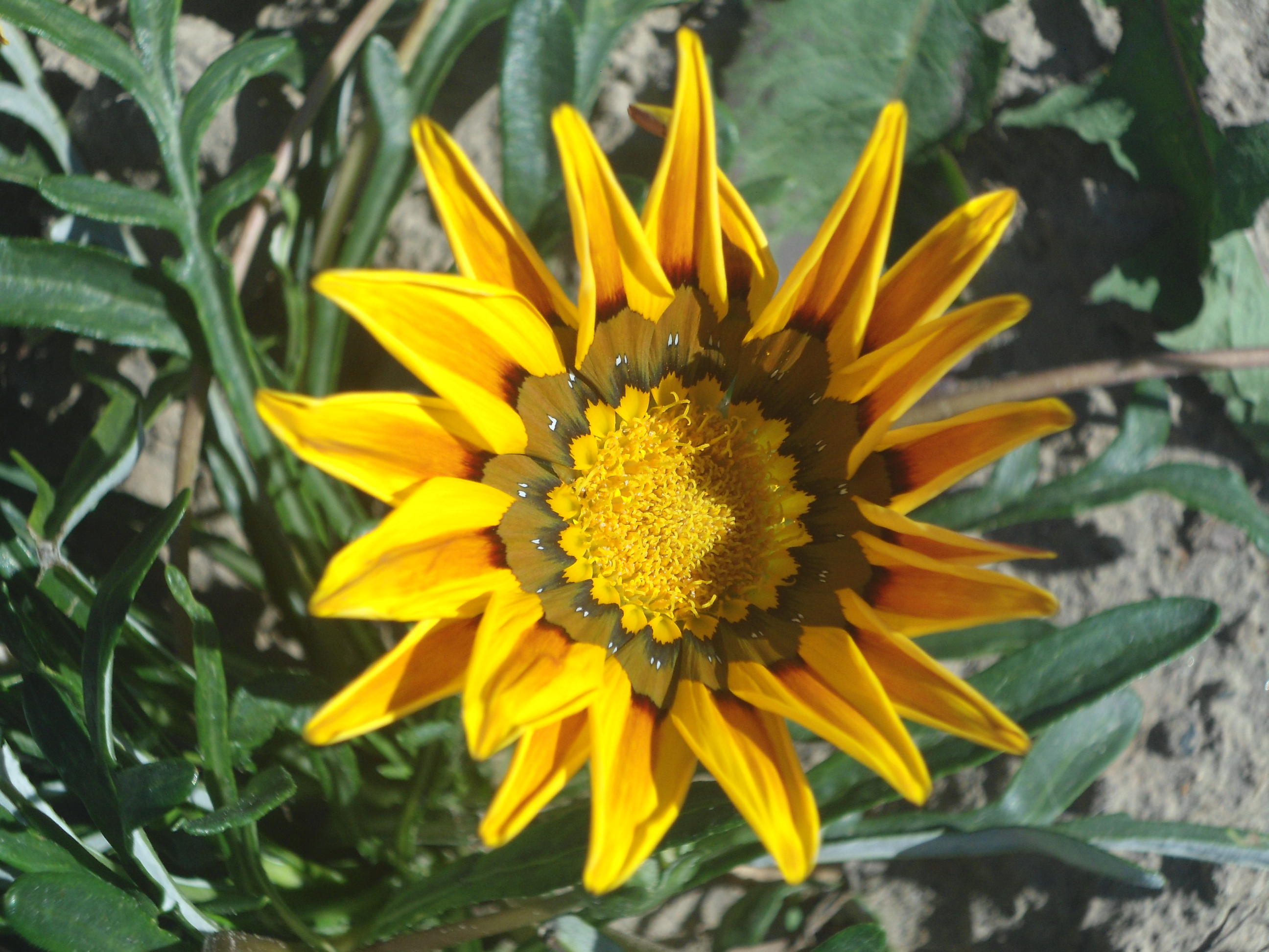 DSC09841.JPG