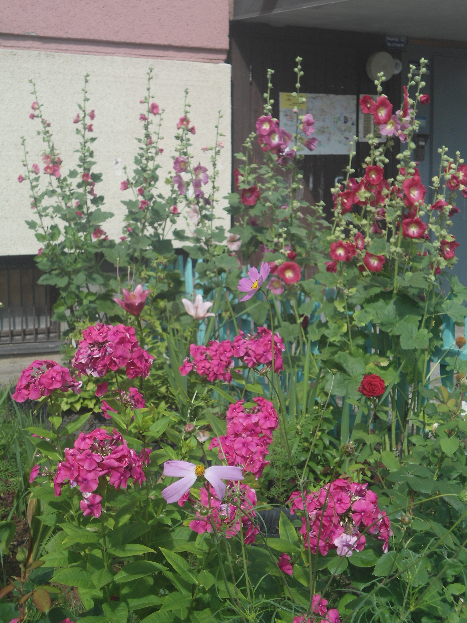 DSC09844.JPG