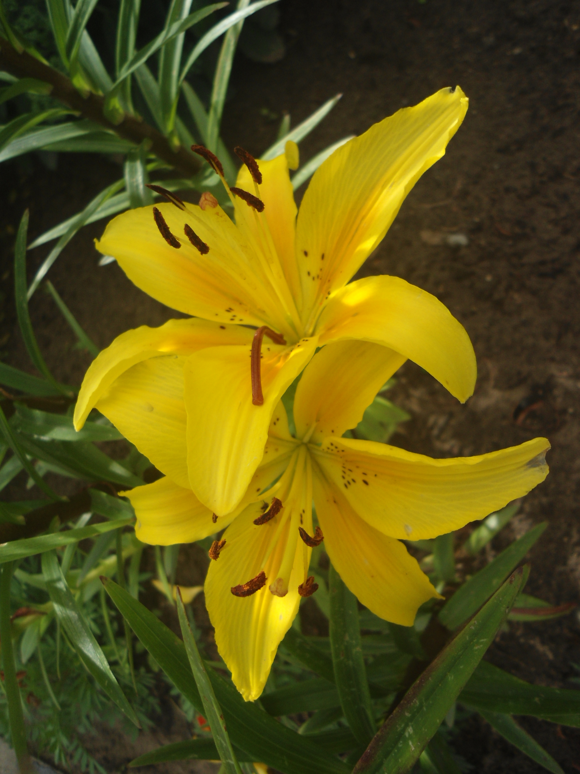 DSC09857.JPG