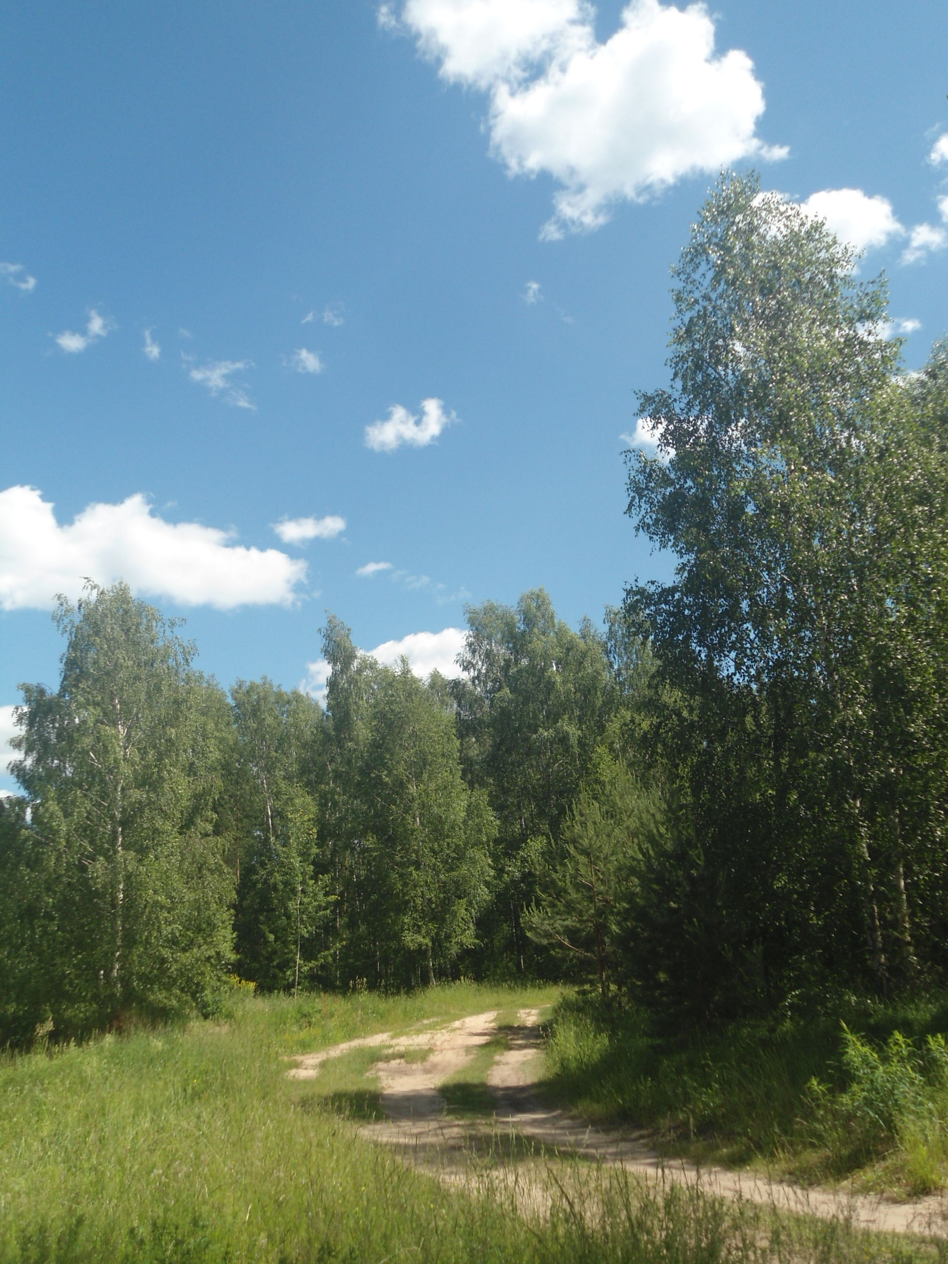 DSC09858.JPG