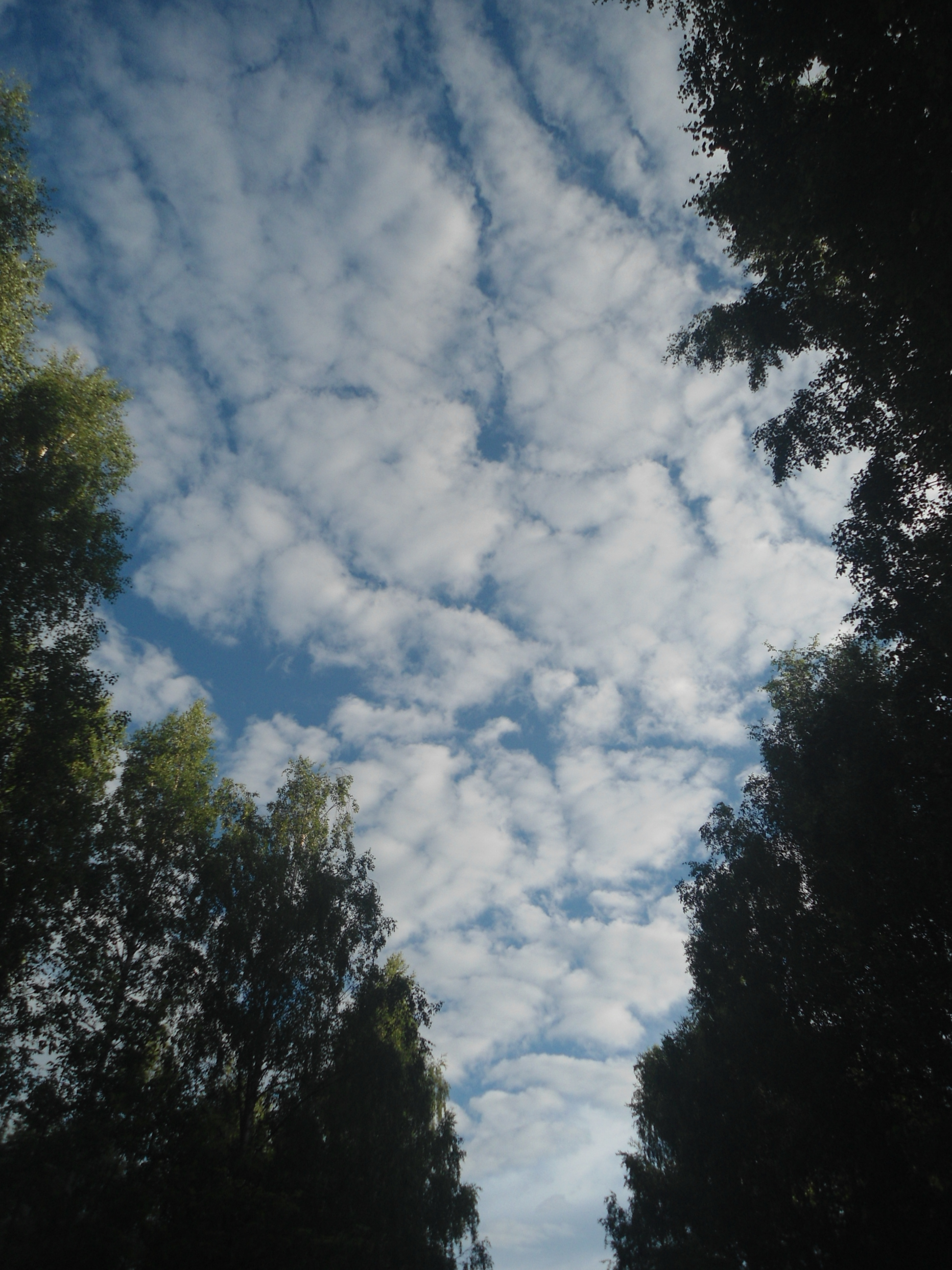 DSC09870.JPG