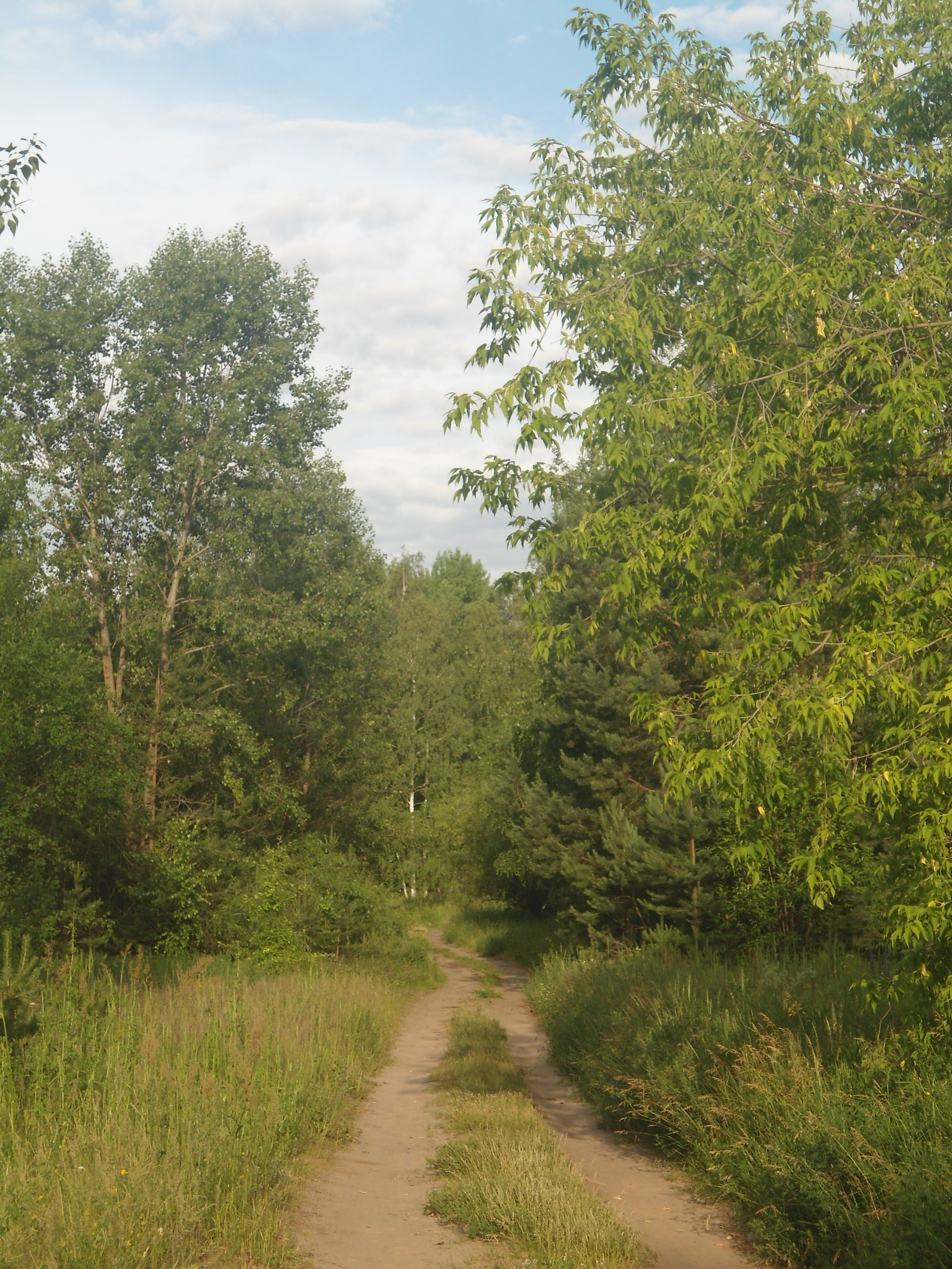 DSC09871.JPG