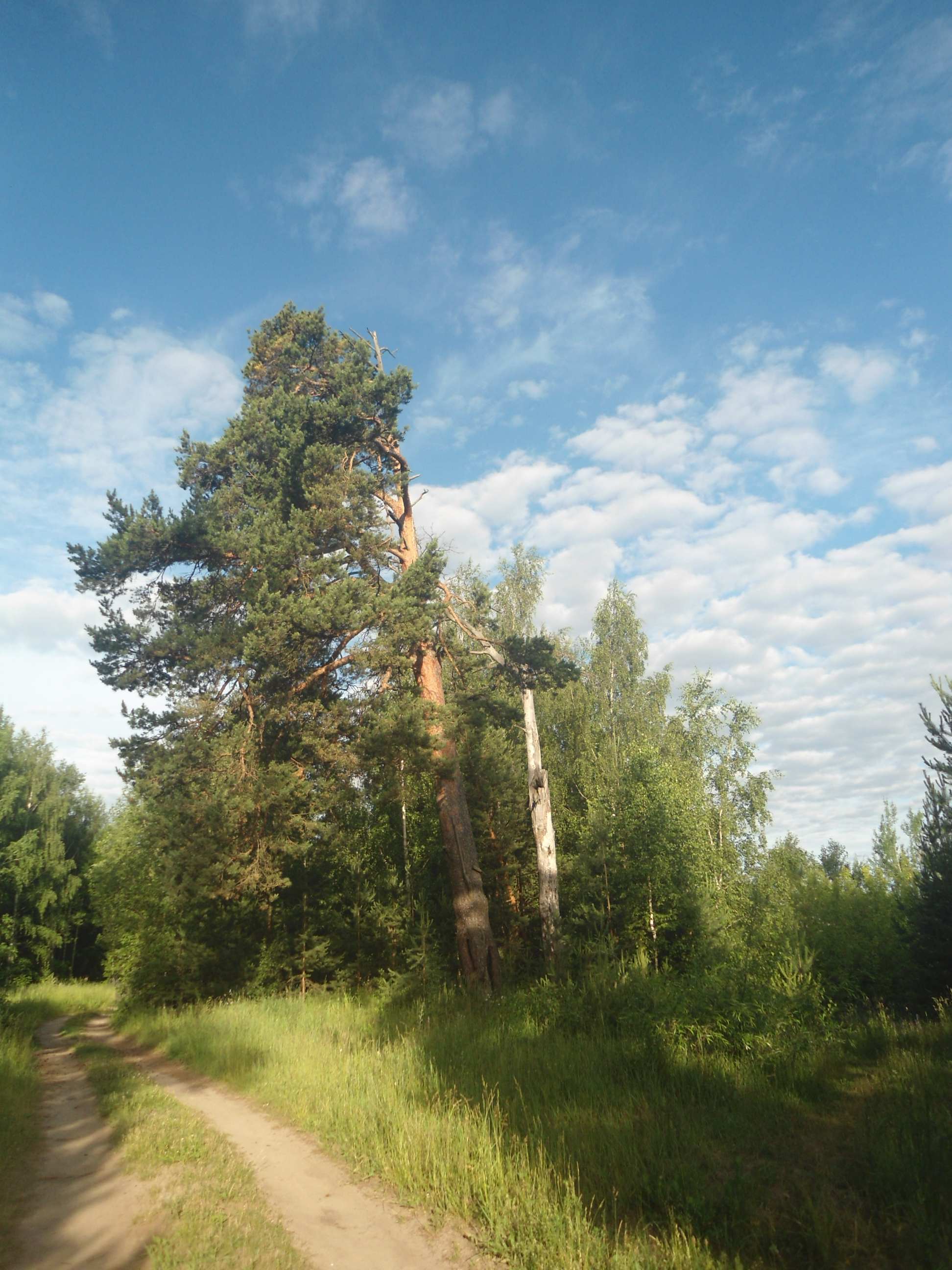 DSC09872.JPG