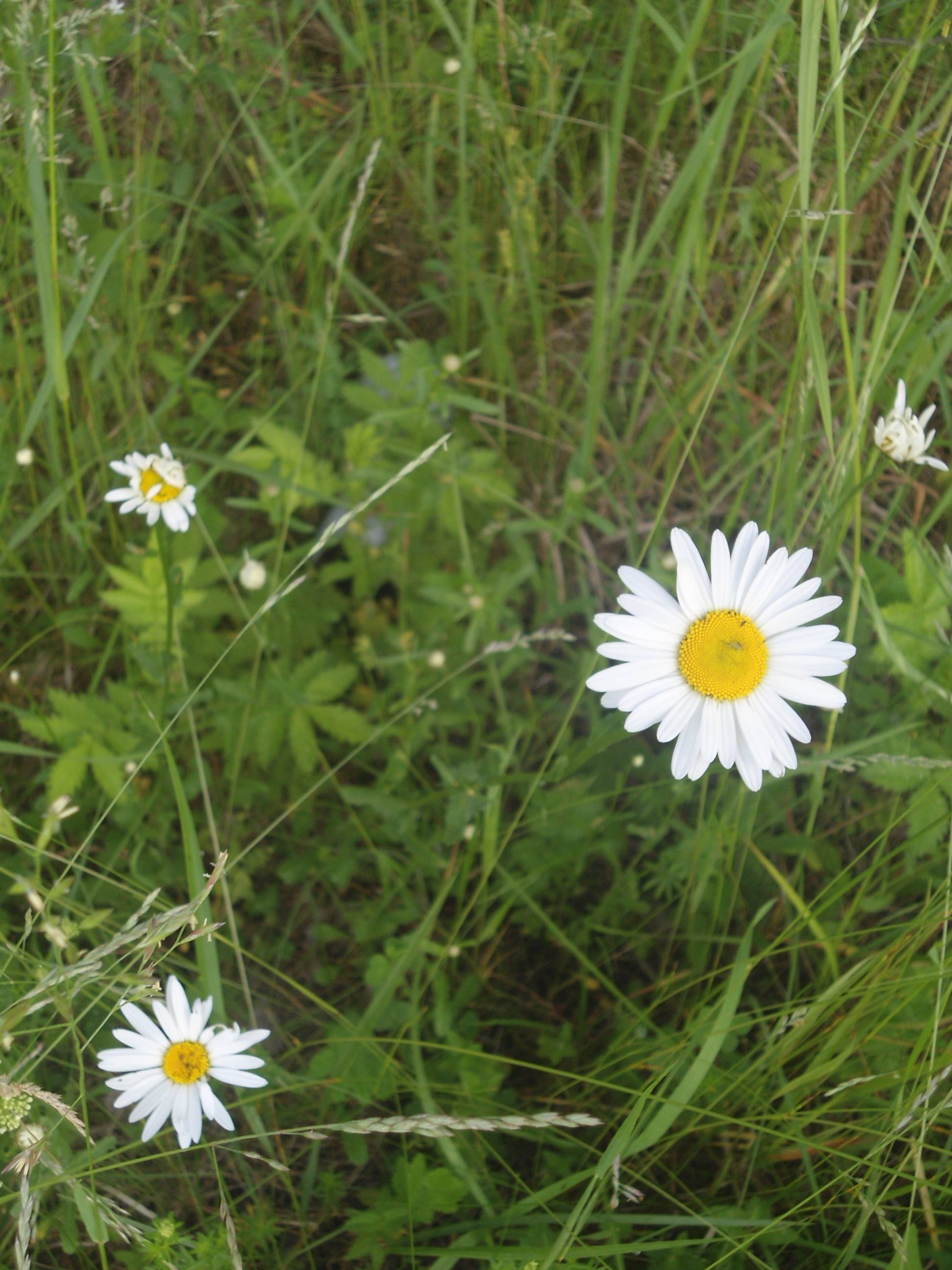 DSC09873.JPG