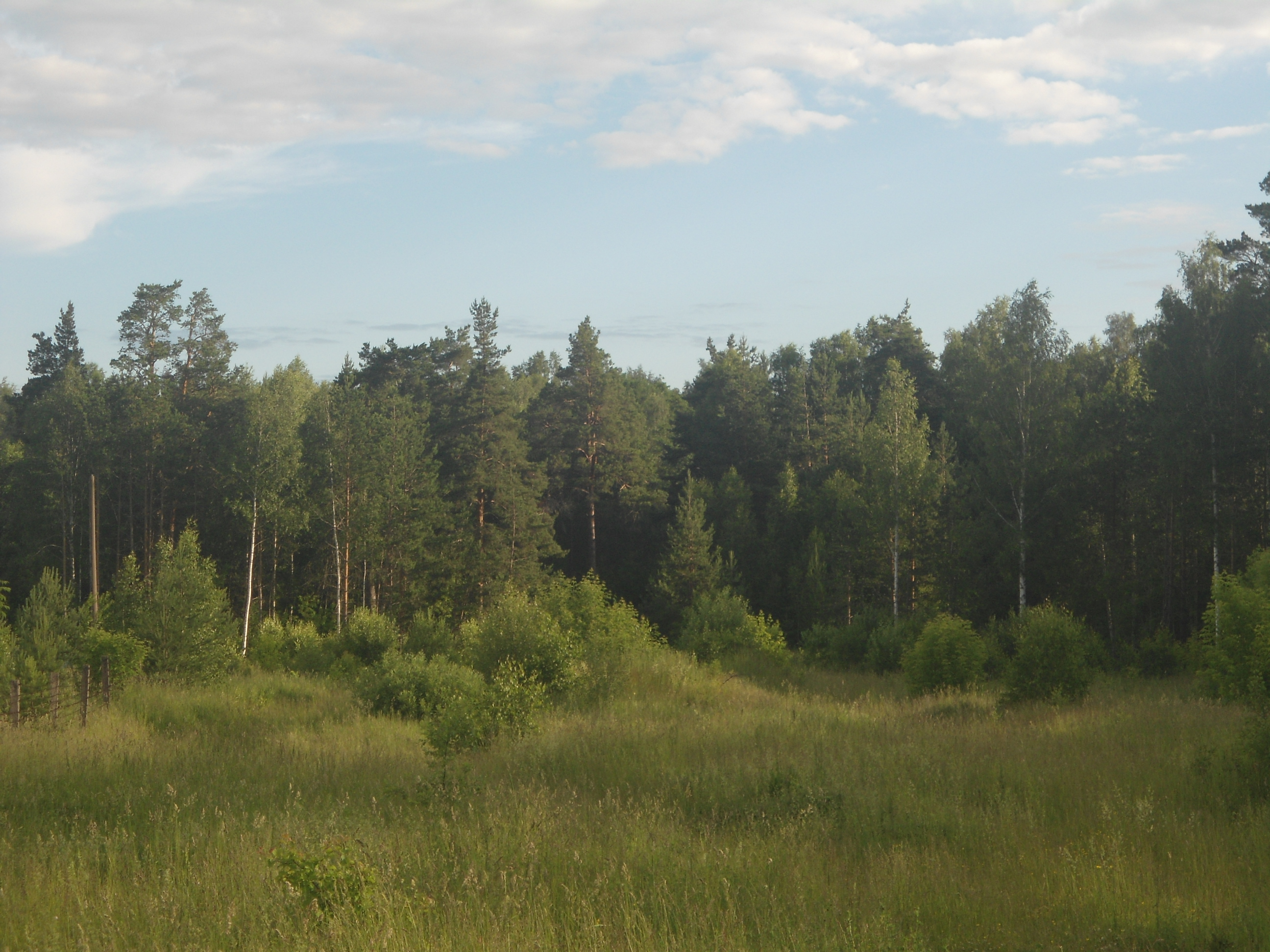 DSC09874.JPG