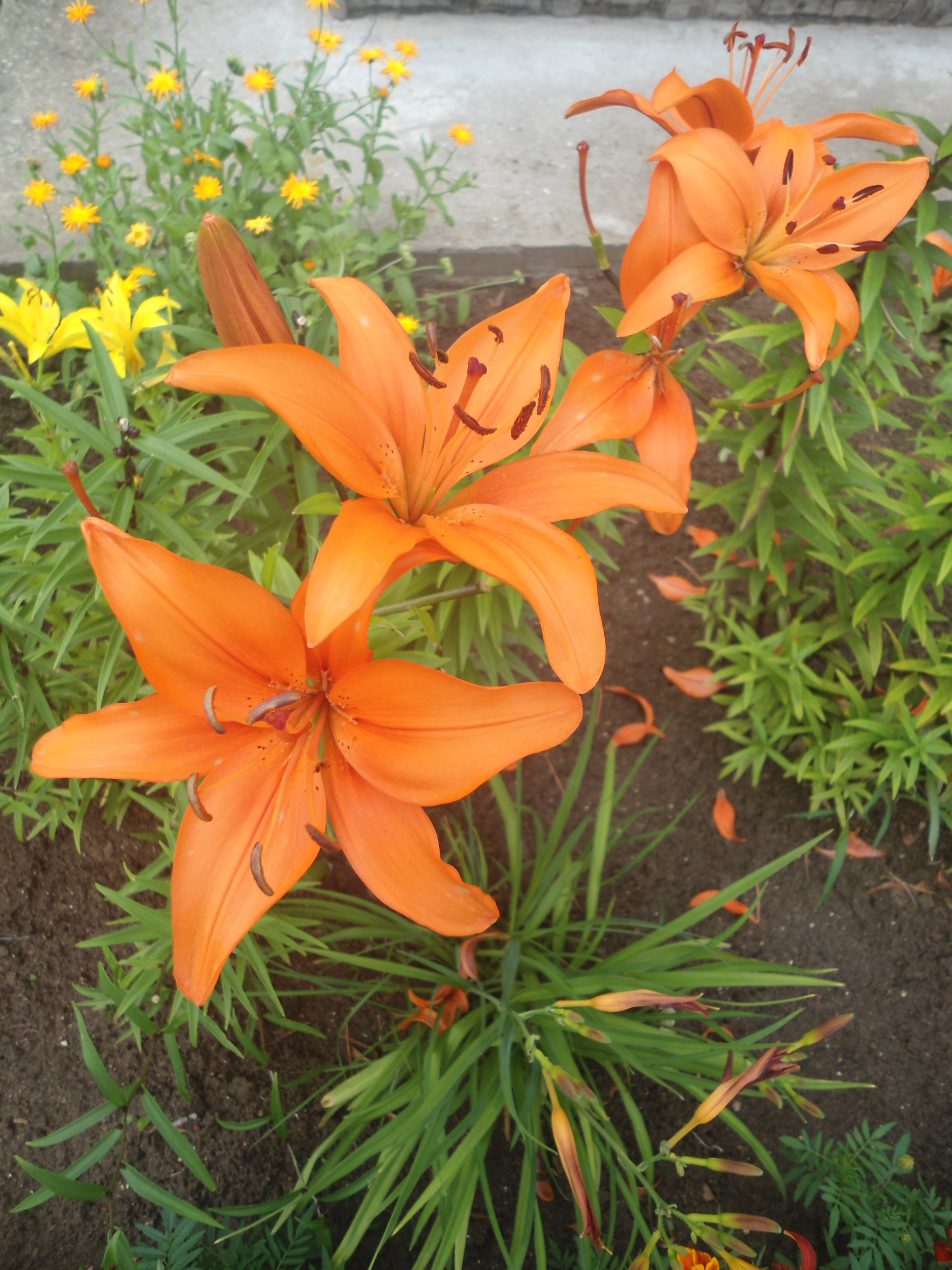 DSC09881.JPG