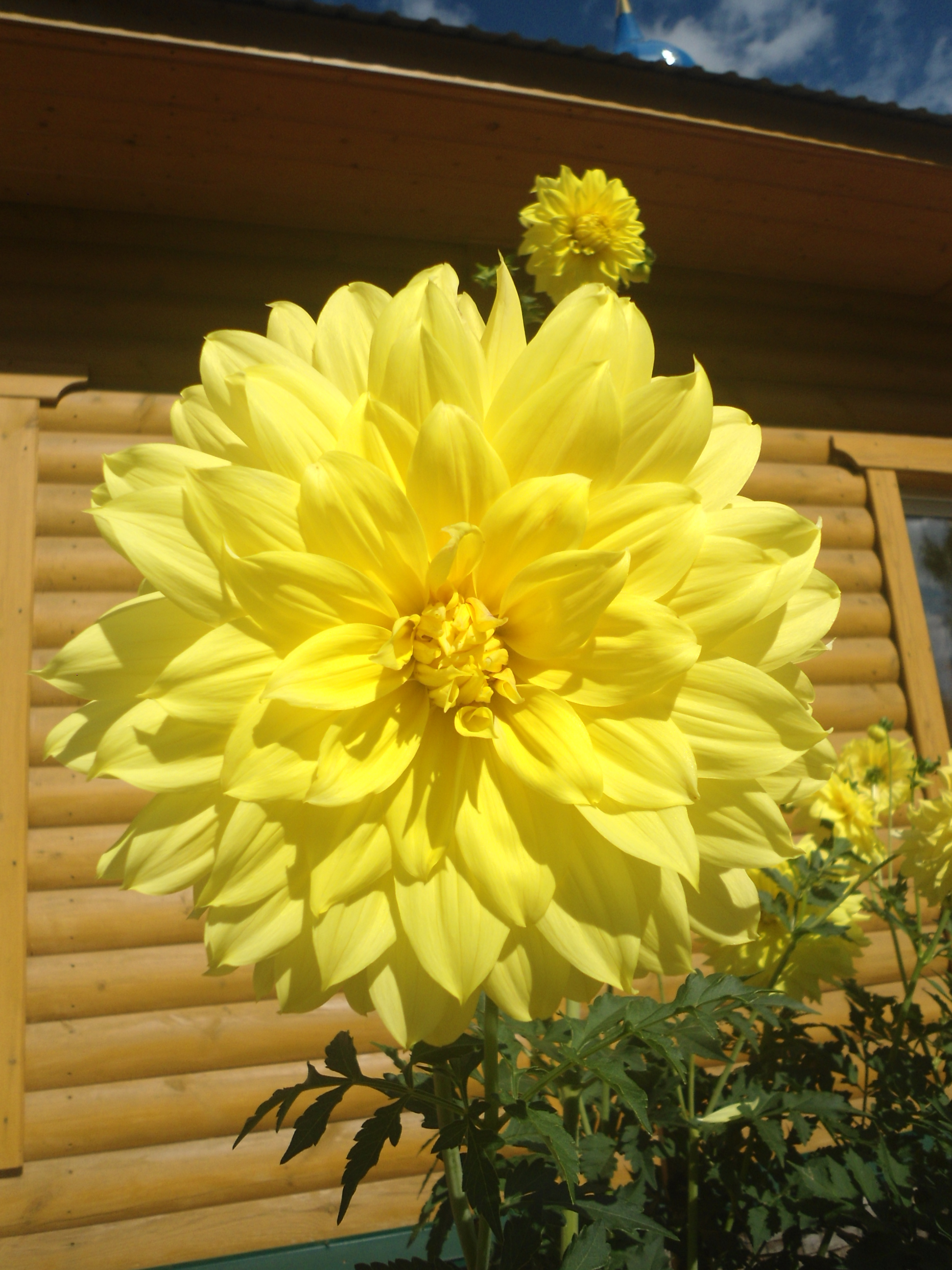 DSC09905.JPG