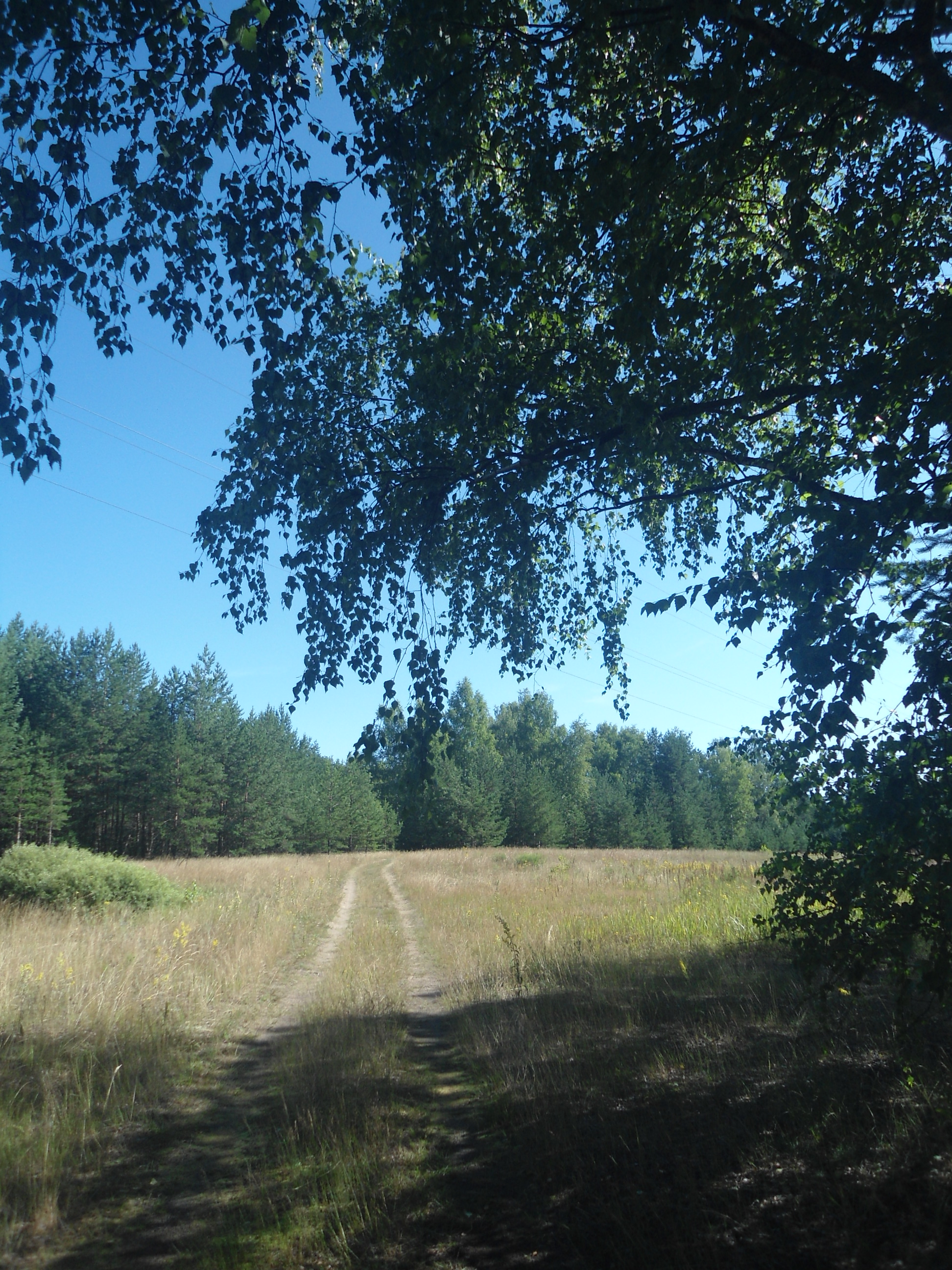 DSC09931.JPG