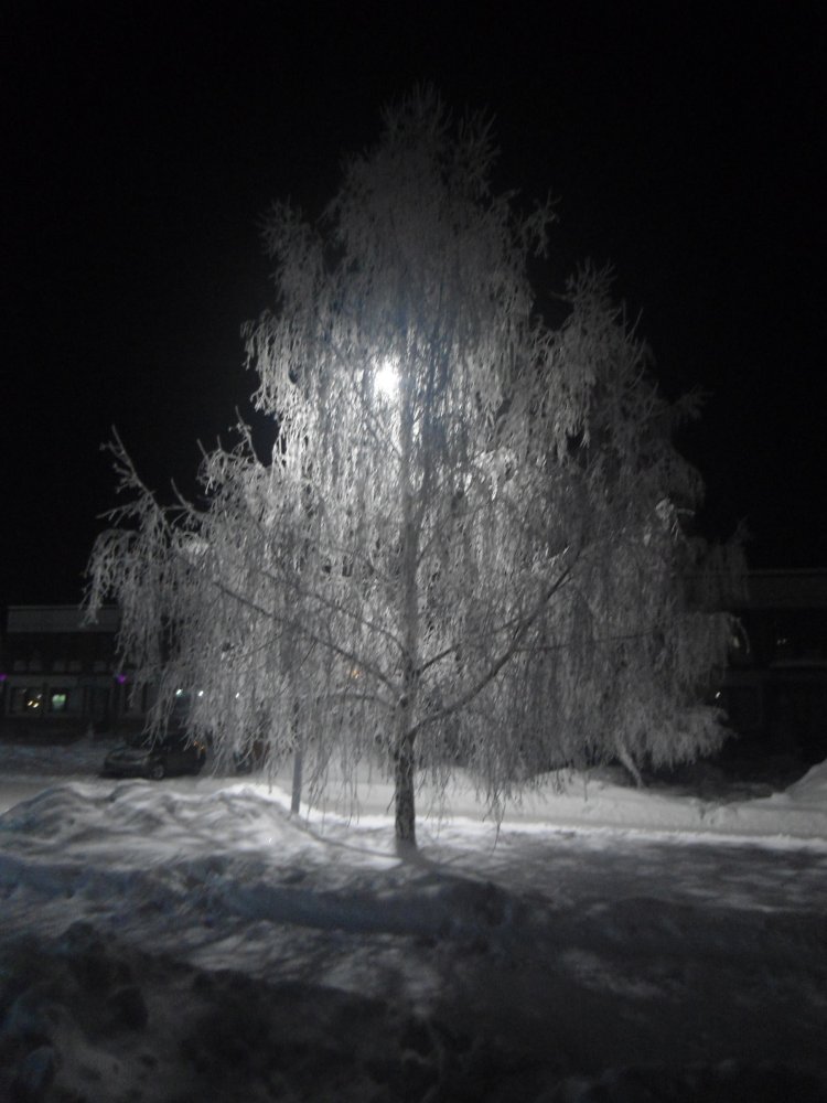 DSC09936.JPG