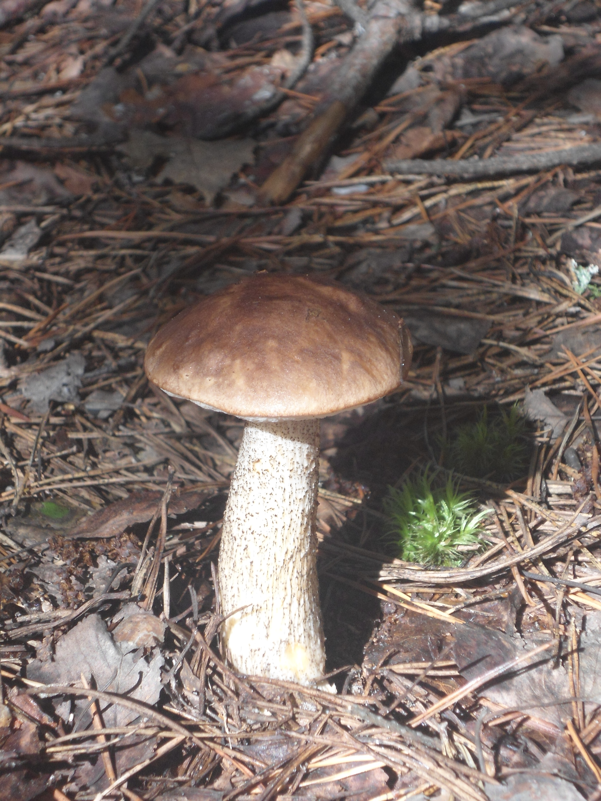 DSC09940.JPG