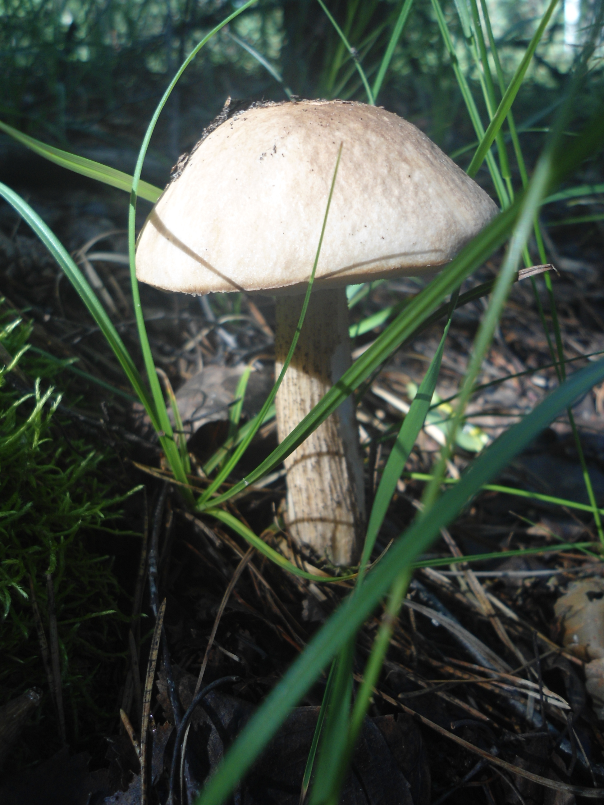 DSC09942.JPG