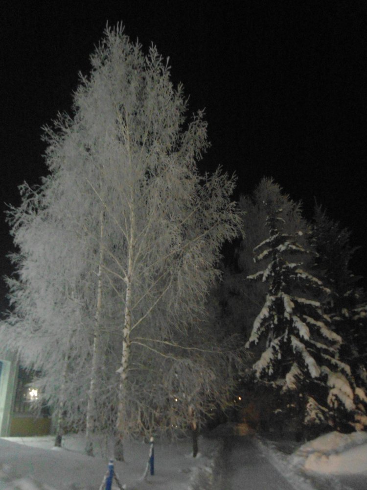 DSC09943.JPG