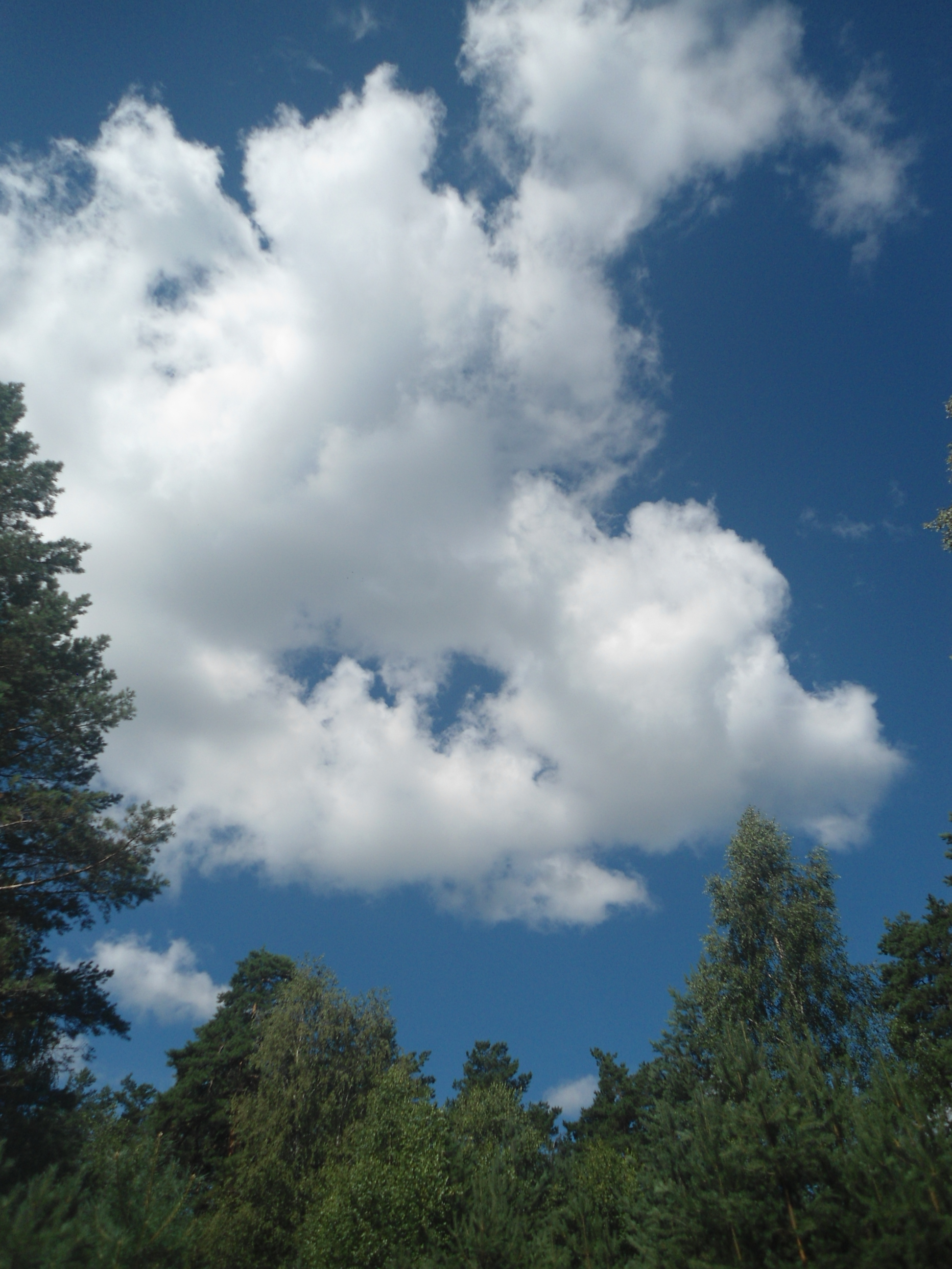DSC09951.JPG