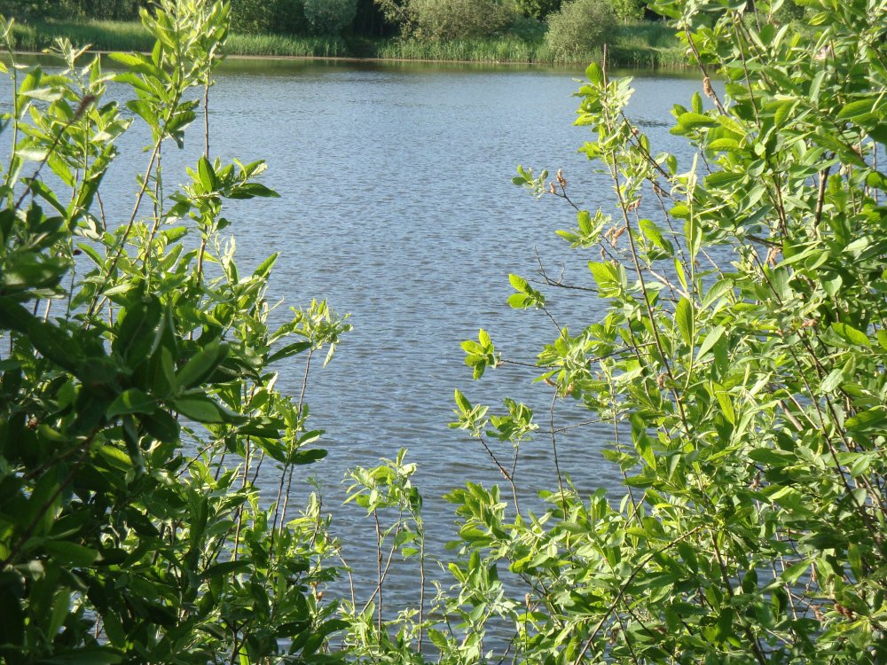 DSC09958.JPG