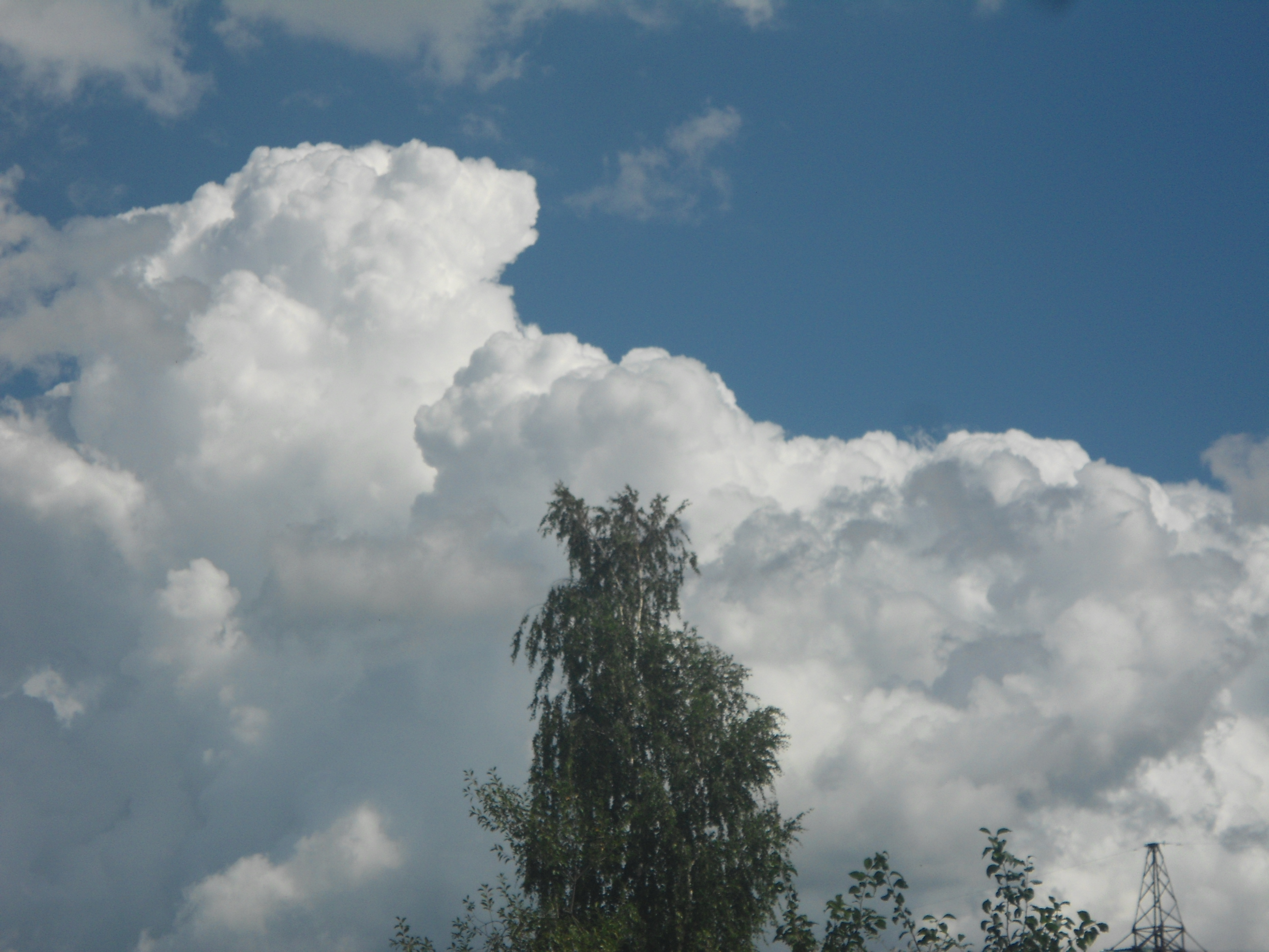 DSC09964.JPG