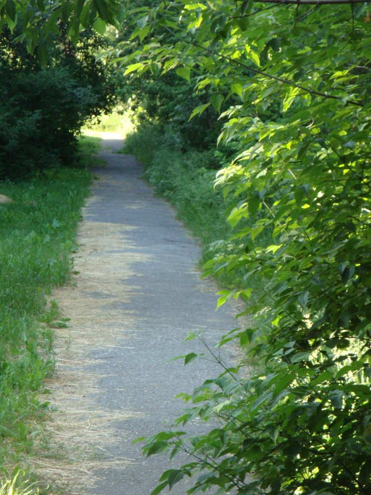 DSC09974.JPG