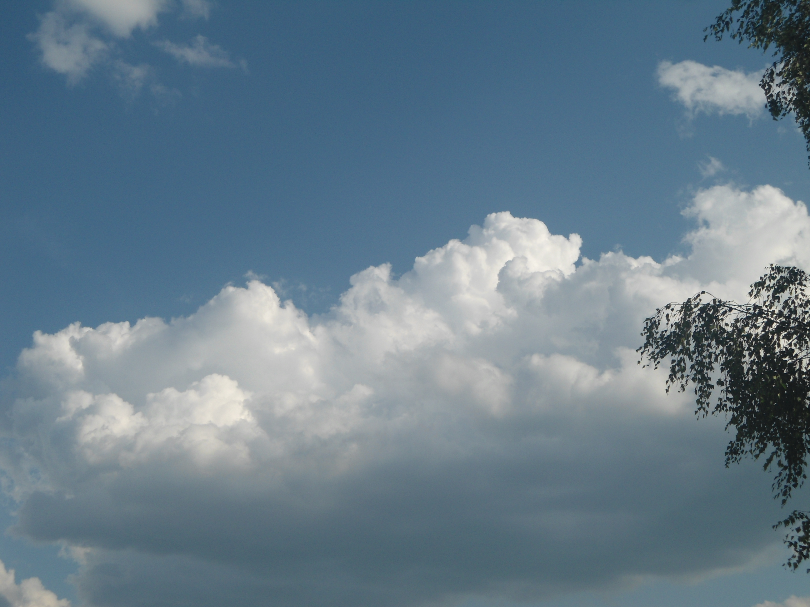 DSC09975.JPG