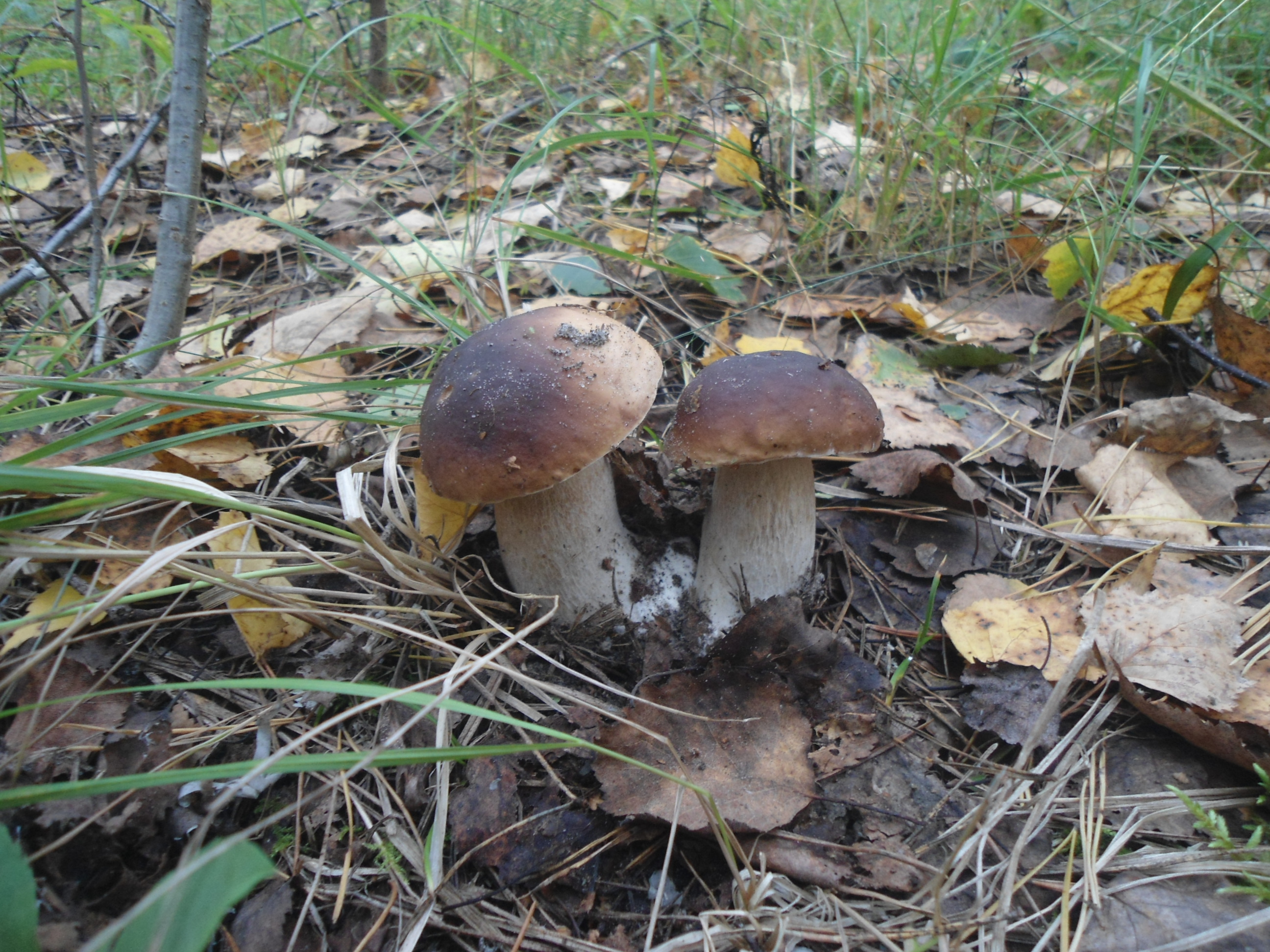 DSC09987.JPG