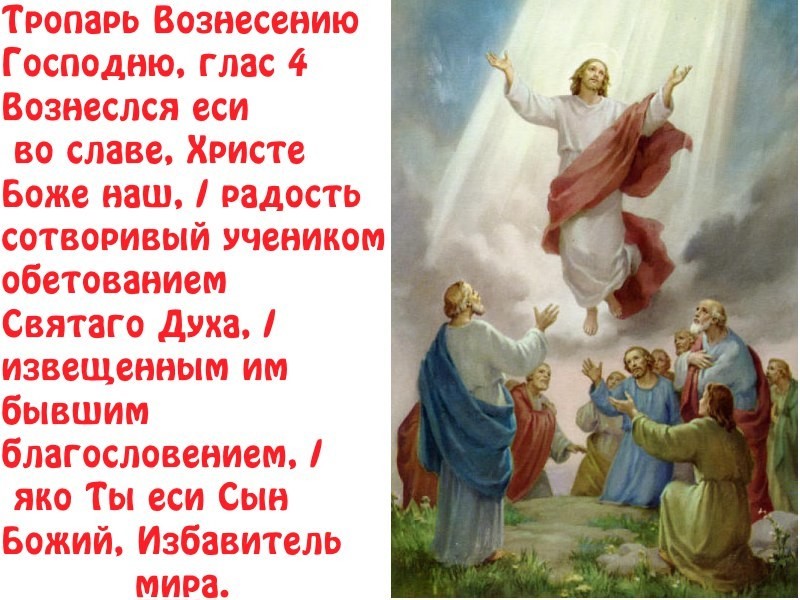 image (2).jpg