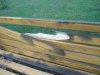 DSC00002.JPG