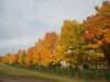 DSC00026.JPG