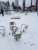 IMG_20200229_173647.jpg