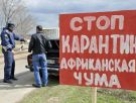 Африканская чума свиней в деревне Мулино. Карантин в Володарском районе Африканская чума свиней в деревне Мулино. Карантин в Володарском районе