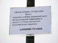 Выгул запрещён