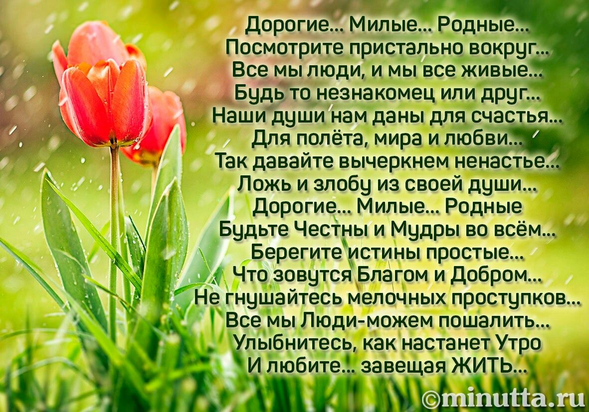 9cfdcf1a727f085c61d8ea55e87b8347.jpg
