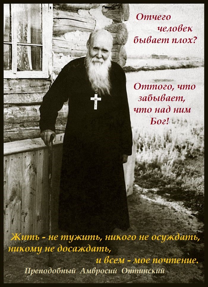 image (10).jpg