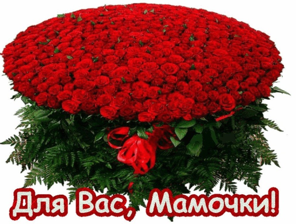 image (21).jpg