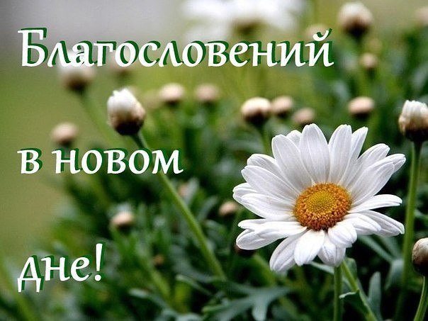 image (26).jpg