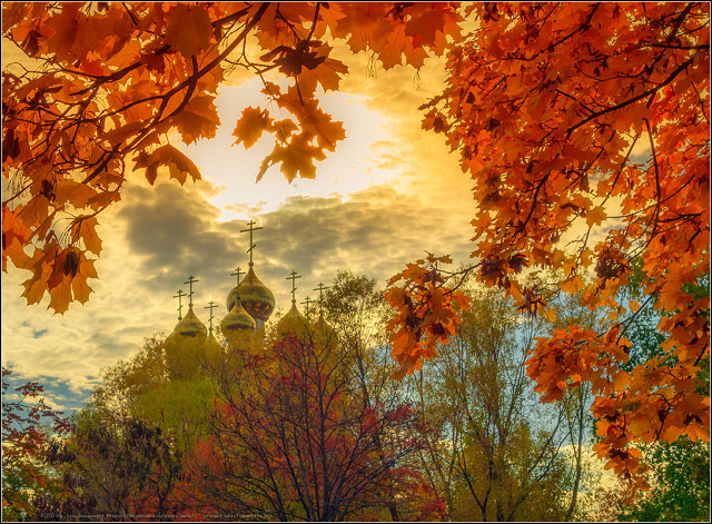 image (30).jpg