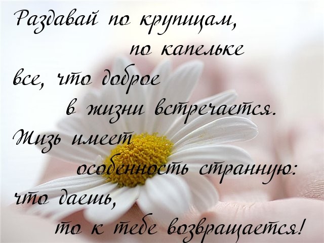 jjpH84tQb18.jpg