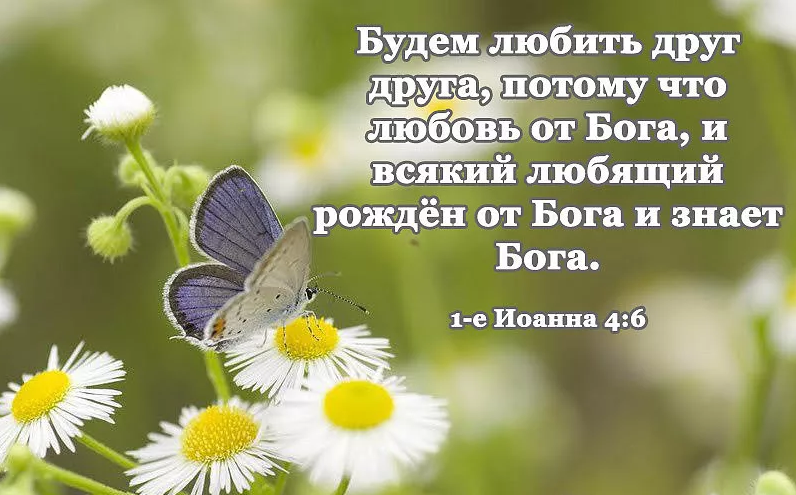 Любовь-3.png