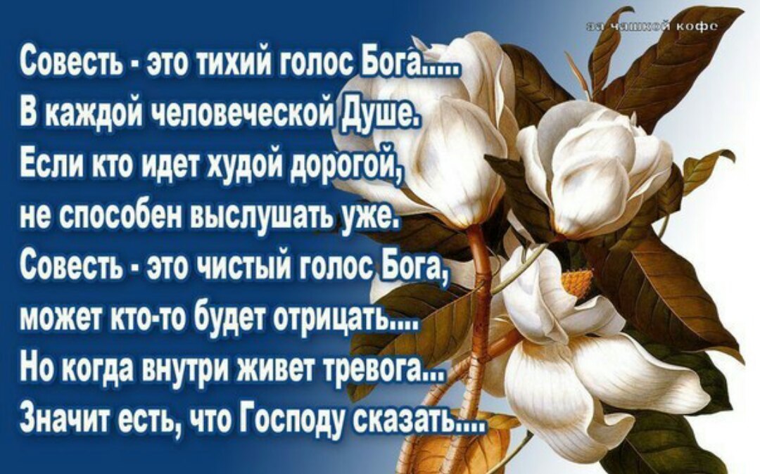 lvBSeHV-nnk.jpg