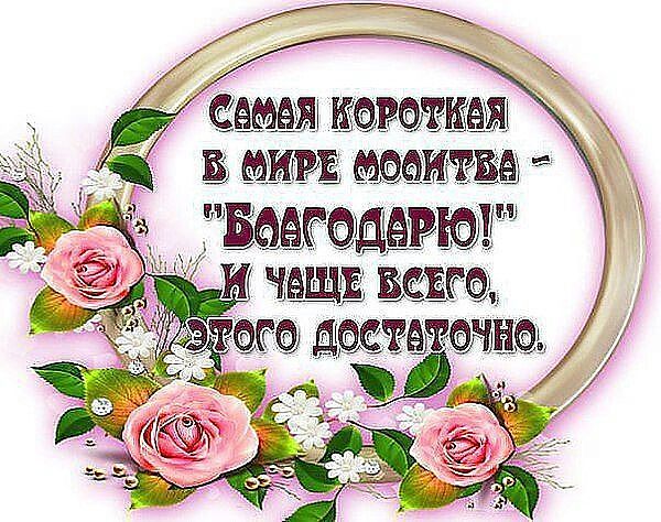 м9.jpg