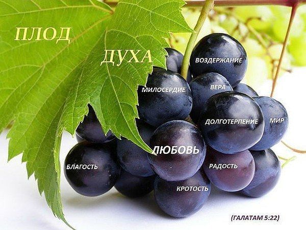 OeU-GoCjcog.jpg