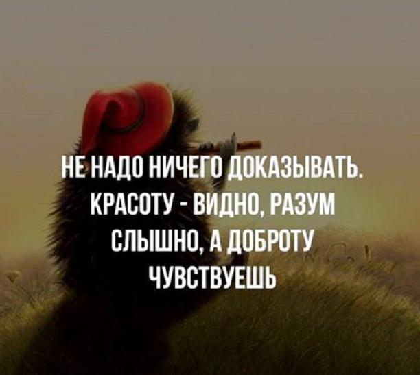 pOegrtd2JQA.jpg