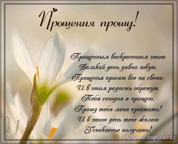 прощения прошу.jpg
