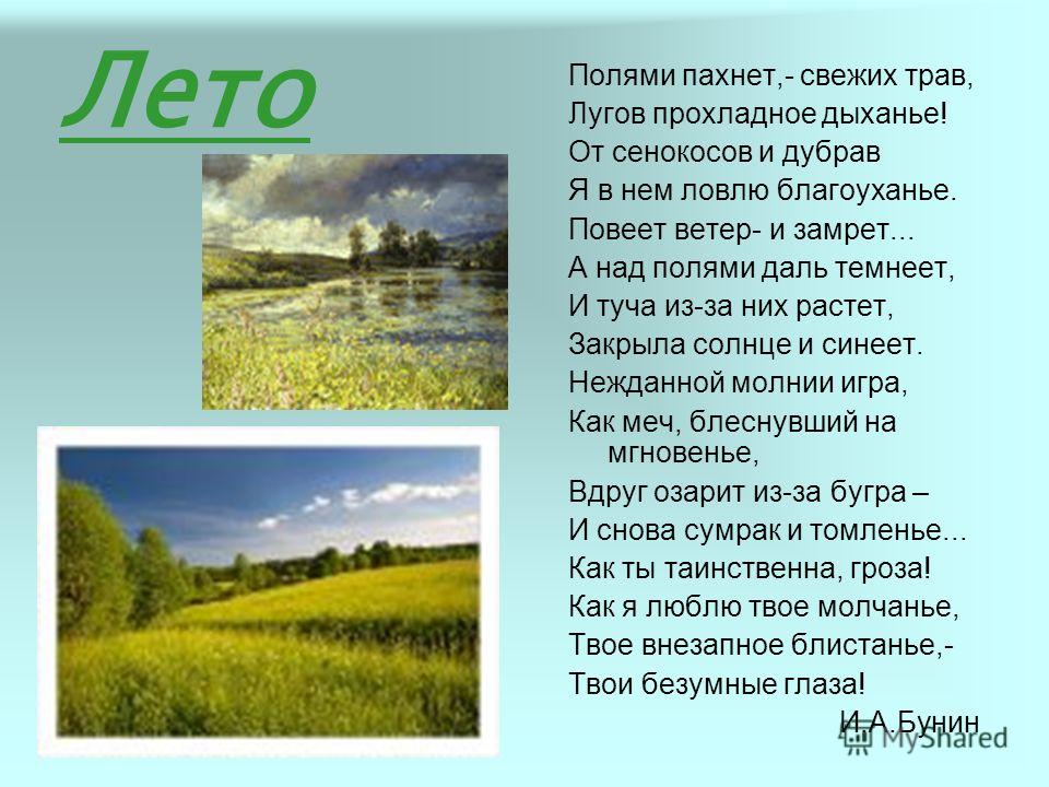 slide_12.jpg
