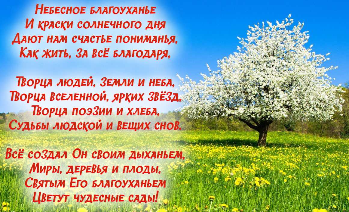 ст.9.jpg