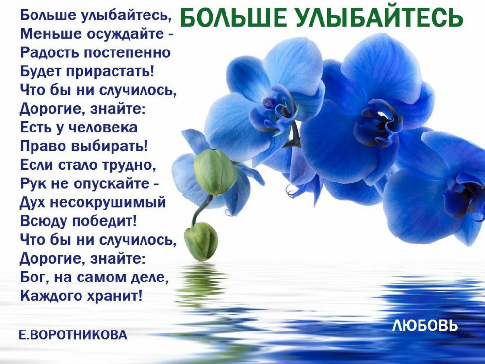 vQowD-AYZmk.jpg
