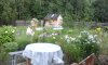 20170801_160458.jpg