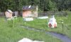 20170801_160608.jpg